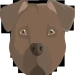 Hit The Spot Dog Acupuncture Icon