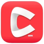 C_SUITE Icon