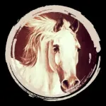 Horsemanship Insider Icon