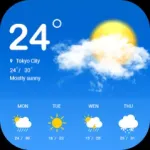 Daily weather forecast Icon