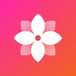 Gallery - Simple and fast Icon