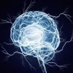 Brain Booster paid app sales Icon