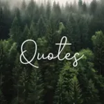 Life Quotes: Daily Motivation Icon