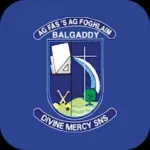 Divine Mercy SNS Icon