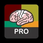 NIH Stroke Scale (NIHSS) pro Icon