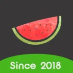 Melon VPN - proxy in low cost Icon