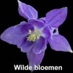Wilde bloemen Icon