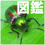 InsectIllustratedReferenceBook Icon