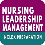 Nursing Leadership Management Icon