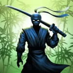Ninja warrior: legend of adven Icon