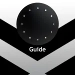 Guide For Misfit Shine Icon
