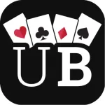 Ultimate Bridge Icon