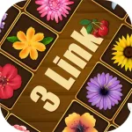 3 Link - Relaxing Fun Icon