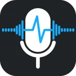 Voice Recorder Audio Sound MP3 Icon