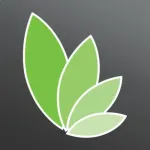 Wellness by LetsLose Icon