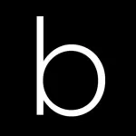 bSmart Icon