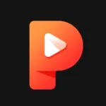 Video Player - Download Video Icon