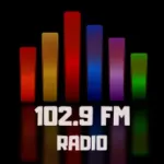 102.9 The Hog Radio Rock Fm Icon