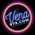 Vena 979 Icon