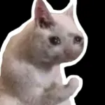 WAStickerApps Stickers Cats Icon