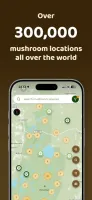 Mushroom Spot: mushroom map Icon