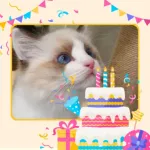 Birthday Photo Frame Icon