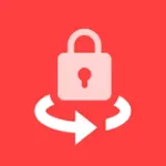 Vsmart Flip To Lock Icon