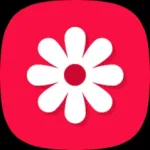 Gallery - photo gallery, album Icon