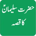 Biography of Hazrat Suleman AS Icon