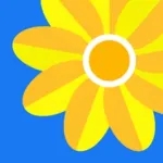 Gallery - Photo Gallery Icon