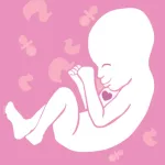 Hear My Baby Heartbeat Monitor Icon