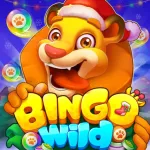 Bingo Wild-Classic Bingo Games Icon