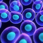 Organization of cells Icon