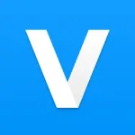 Video Surveillance Ivideon Icon