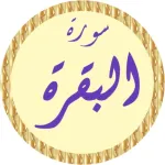 سورة البقرة أحمد العجمي بدونت Icon