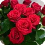 باقات الورد رائعة Icon