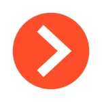 Macroscop video surveillance Icon