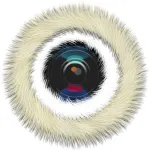Fluffy Camera Icon
