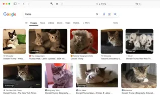 Make America Kittens Again Icon