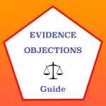 Court Objections Icon
