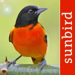 Bird Id USA - backyard birds Icon