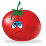 Identify Tomato Plant Diseases Icon