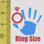 The Ring Sizer | Converter Icon