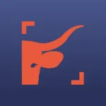 Pays de Salers Tourisme Icon