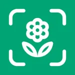 Planto: Plant Identifier Icon
