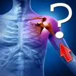 Anatomy Shoulder Quiz Icon