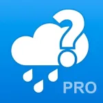 Will it Rain? PRO Notification Icon