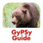 Canadian Rockies GyPSy Guide Icon