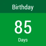 Day Counter Widget Icon