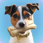 Laser Pointer - Games for Dogs Icon